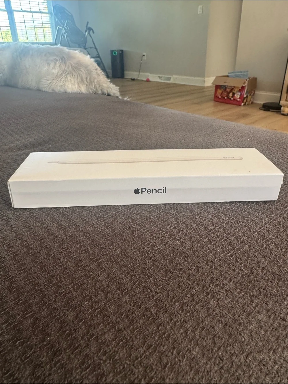 Apple Pencil White in Branded Retail Box